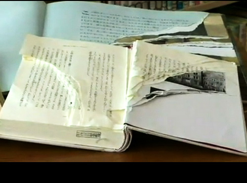 Uništavanje Dnevnika Ane Frank u Japanu