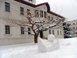 Skulpture od snega