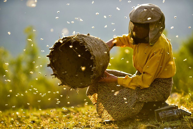 Makedonski Honeyland među najboljima na 35. Sandensu